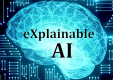 Explainable AI (XAI) Training in Sri Lanka
