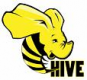 Hive Training in Sri Lanka