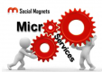 Microservices Training in Sri Lanka