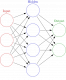 Neural Networks Training in Sri Lanka
