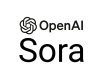 Sora Training in Sri Lanka