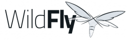 Wildfly Training in Sri Lanka