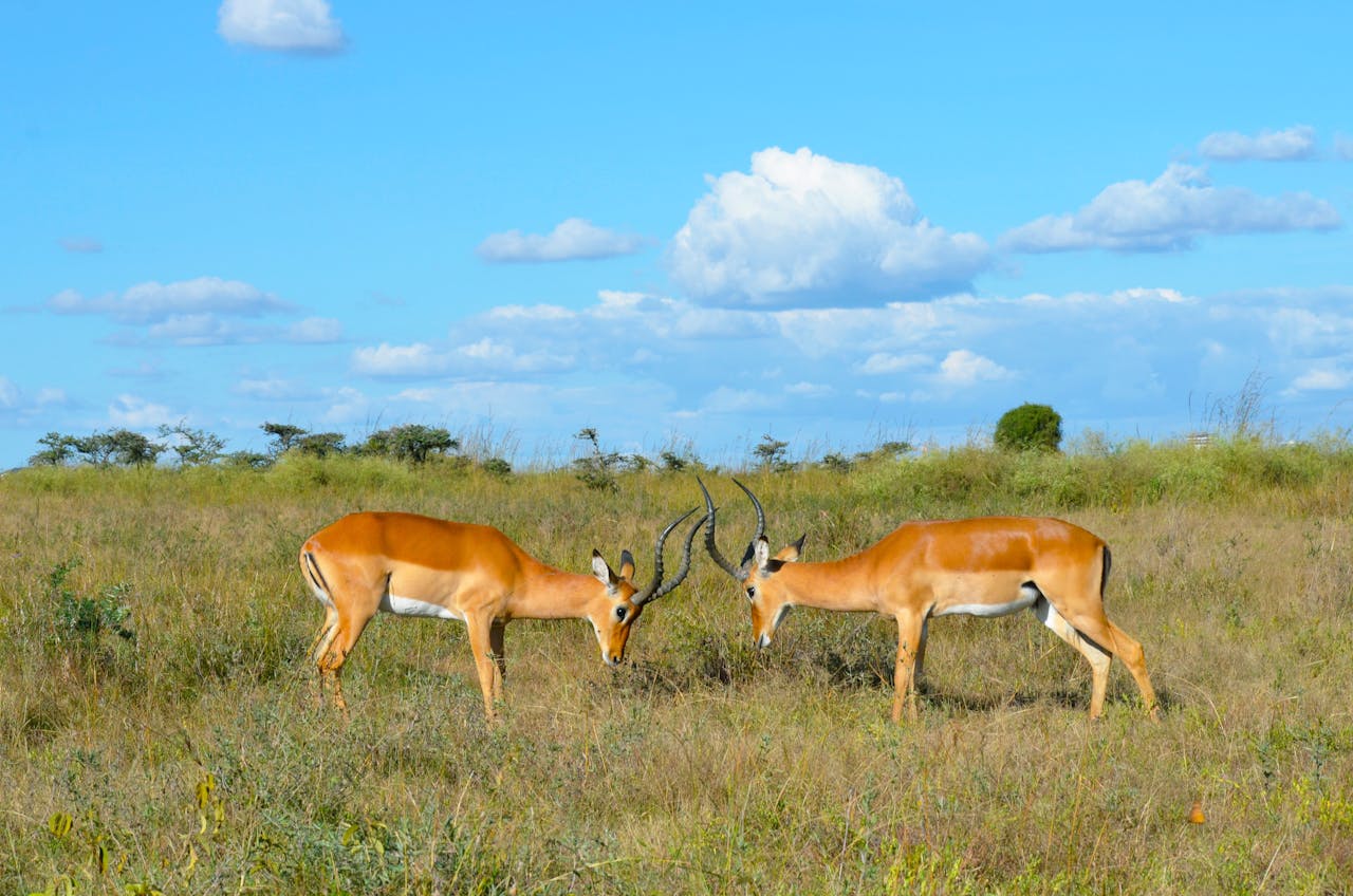 Nairobi, Kenya