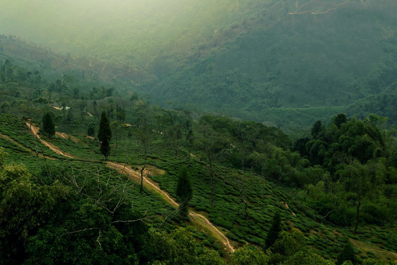 Darjeeling Himalayan views—innovation labs with reflective trails